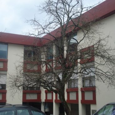 Vierominho Unidade de Cuidados Continuados da Santa Casa da Misericórdia de Guimarães